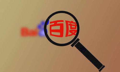 SEO蜘蛛池